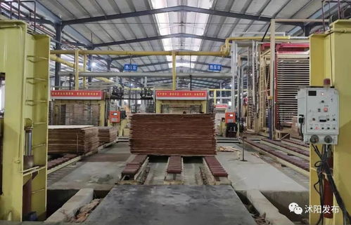 100多名領(lǐng)導(dǎo)干部,專門去了沭陽這些地方,這些事情沭陽人必須要知道