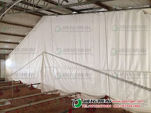 供應配額白色篷布 非織造布,農(nóng)漁業(yè) 紡機網(wǎng)
